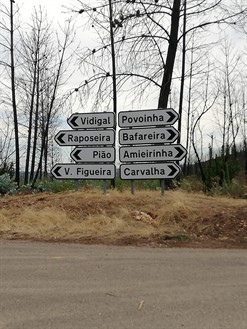 PLACAS TOPONÍMICAS