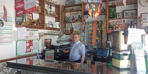Lapacheiro