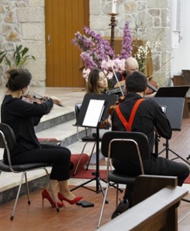 Musica Pinhal