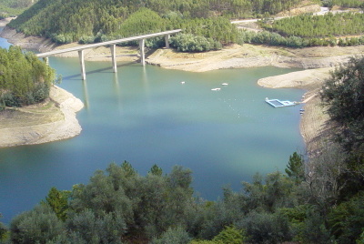 DSC03955