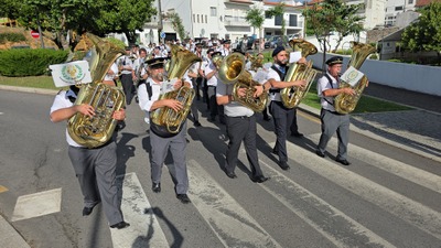 Fialrmonica3