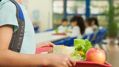 Educacao Alimentacao Escolar