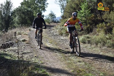 Pinhal Total