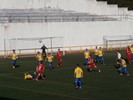 P1310250.JPG