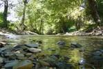 ribeira.jpg