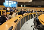 Parlamento 2
