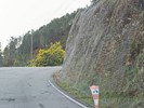 Estrada