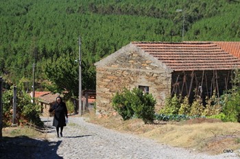oleiros.JPG