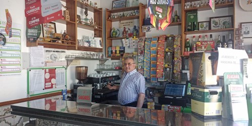 Lapacheiro