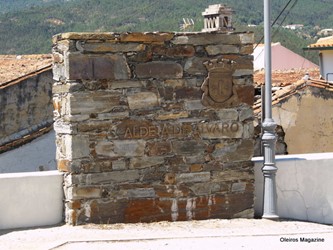P1014438.JPG