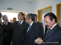 Cópia de steiff1.jpg