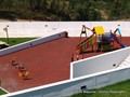 P1010559.jpg