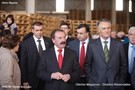 Cavaco-silva no orvalho.JPG