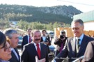 Cavaco-silva no orvalho (7).JPG