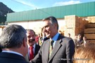 Cavaco-silva no orvalho (9).JPG