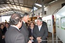 Cavaco-silva no orvalho (11).JPG