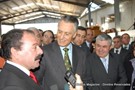 Cavaco-silva no orvalho (12).JPG