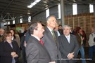 Cavaco-silva no orvalho (13).JPG
