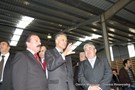 Cavaco-silva no orvalho (14).JPG