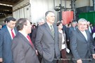Cavaco-silva no orvalho (16).JPG