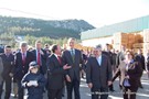 Cavaco-silva no orvalho (17).JPG