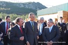Cavaco-silva no orvalho (18).JPG