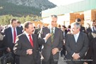 Cavaco-silva no orvalho (19).JPG