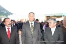 Cavaco-silva no orvalho (20).JPG