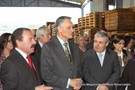 Cavaco-silva no orvalho (23).JPG