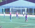 SDV_0129.jpg