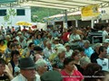 harmovaso2008 (9).JPG